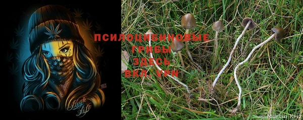 дживик Беломорск