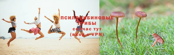 дживик Беломорск