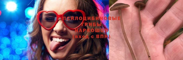 спиды Белокуриха