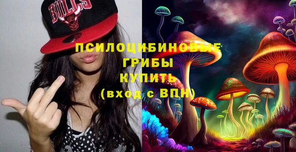 дживик Беломорск